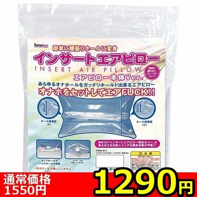 【1290円★数量限定】インサートエアピロー エアピロー本体Ver<お一人様1点限り>(お買い得商品)